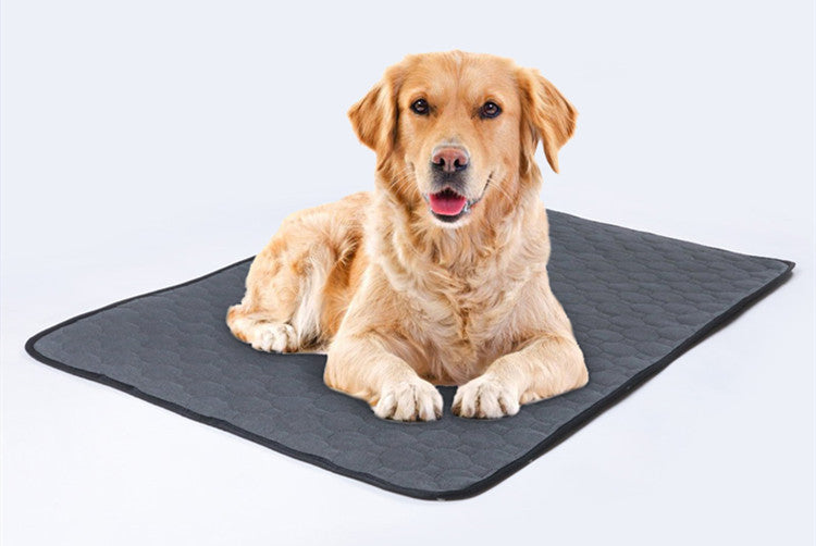 Washable Pet Dog Training Pad (Single Piece) Colour Variants