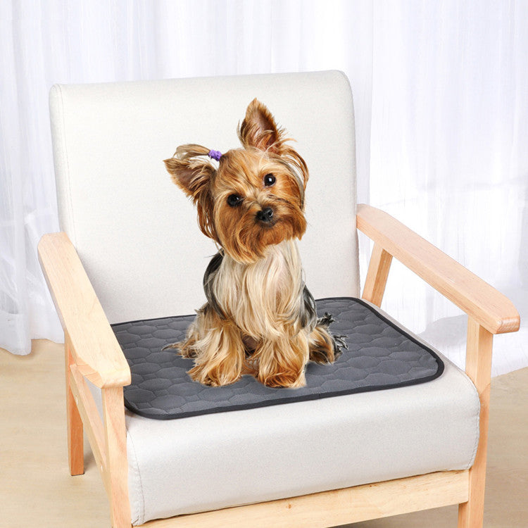 Washable Pet Dog Training Pad (Single Piece) Colour Variants