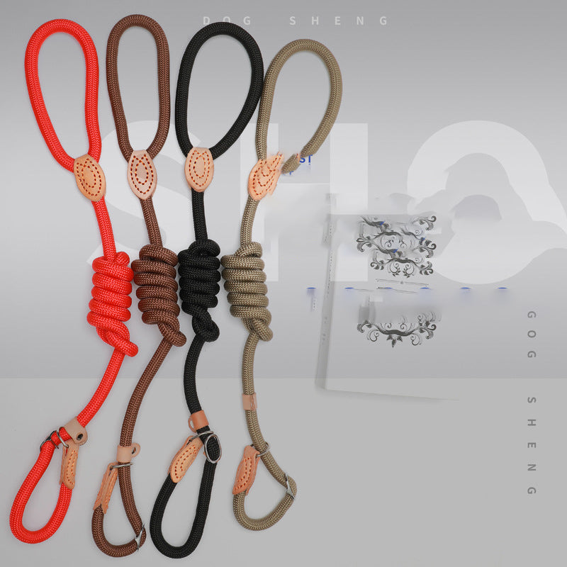 Slip Lead Dog Training Leash (Colour Variants)