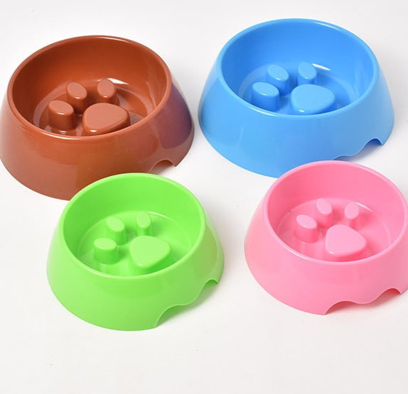 Four colorful pet bowls in red, blue, green, and pink on a white background