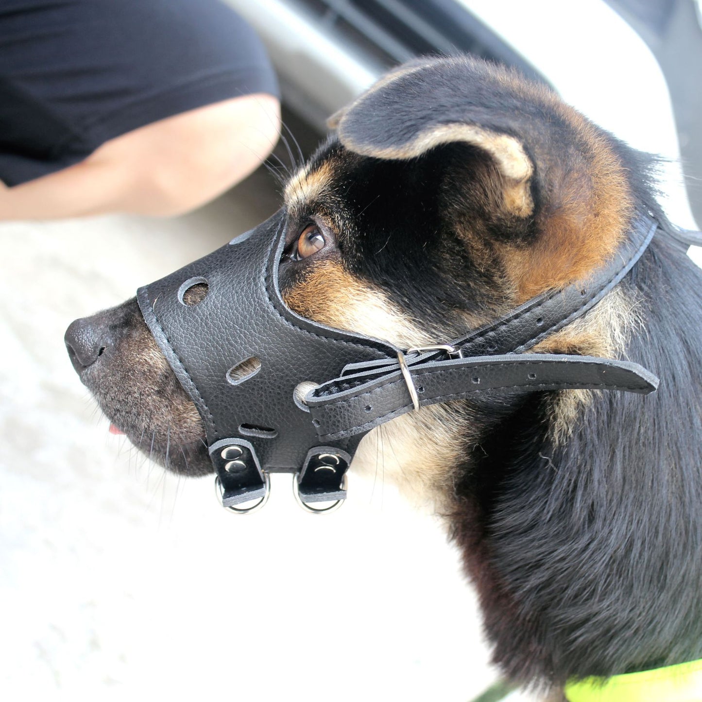 Anti-Bark and Anti-Eating Mask Muzzle for Medium to Large Dogs