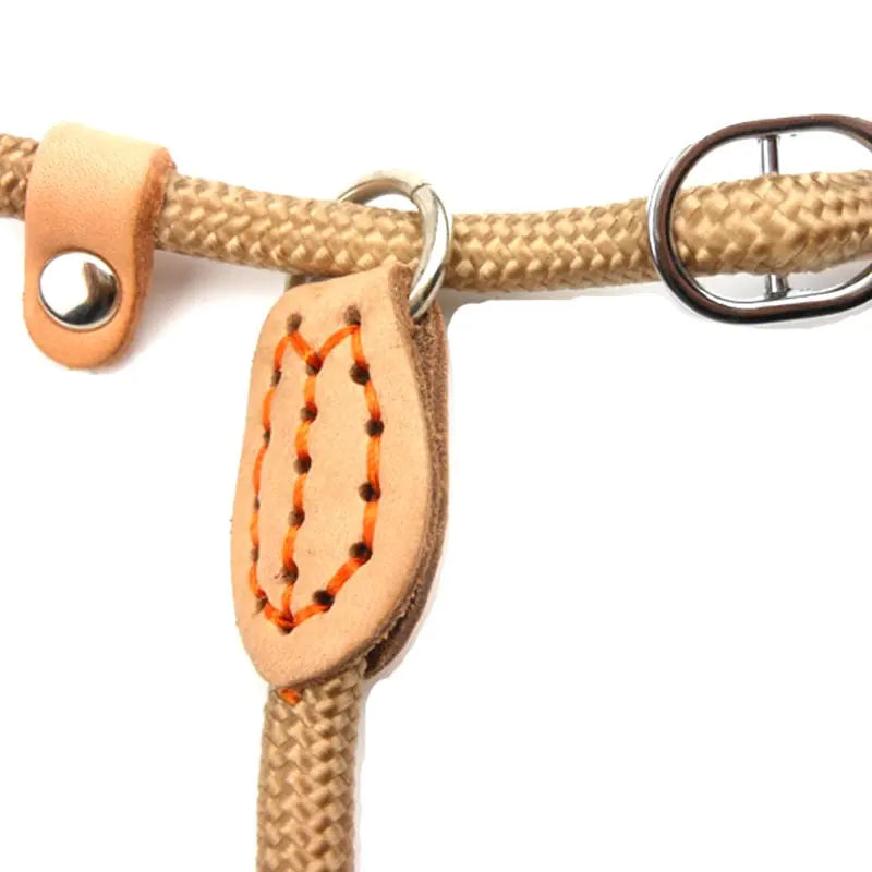 Adjustable Heavy Woven Nylon Non-Slip Dog Training Rope