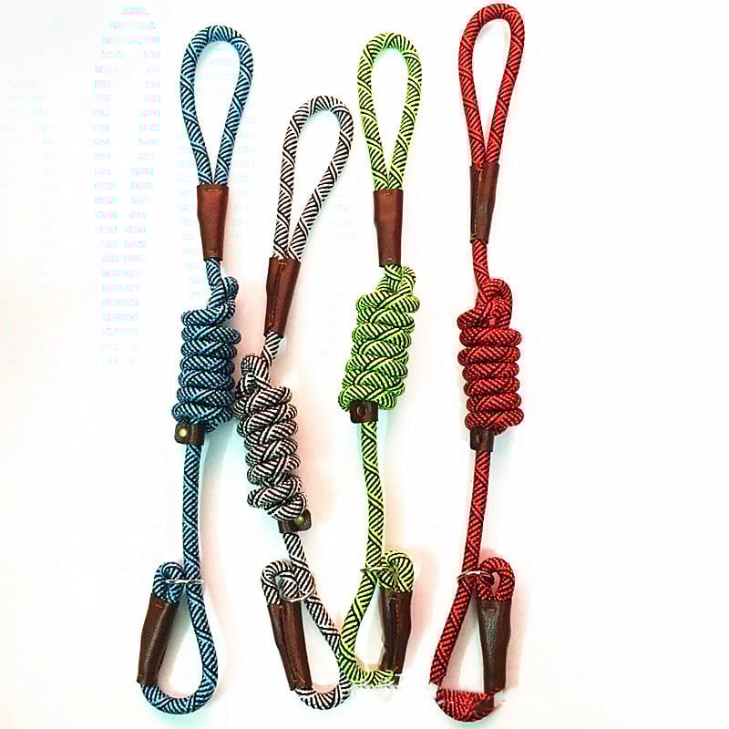Coleira de treino para cães de porte médio (variações de cor)