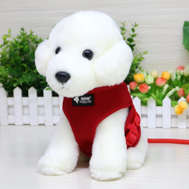 Dog Leash and Collar Set for Pets