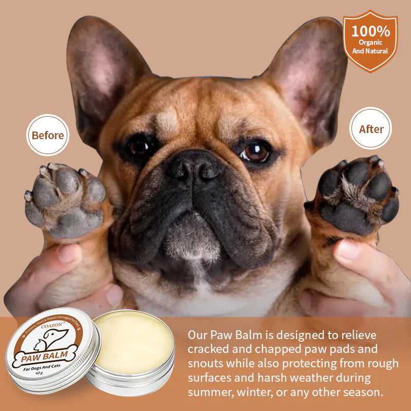 Pet Paw Moisturizing Cream (60g)