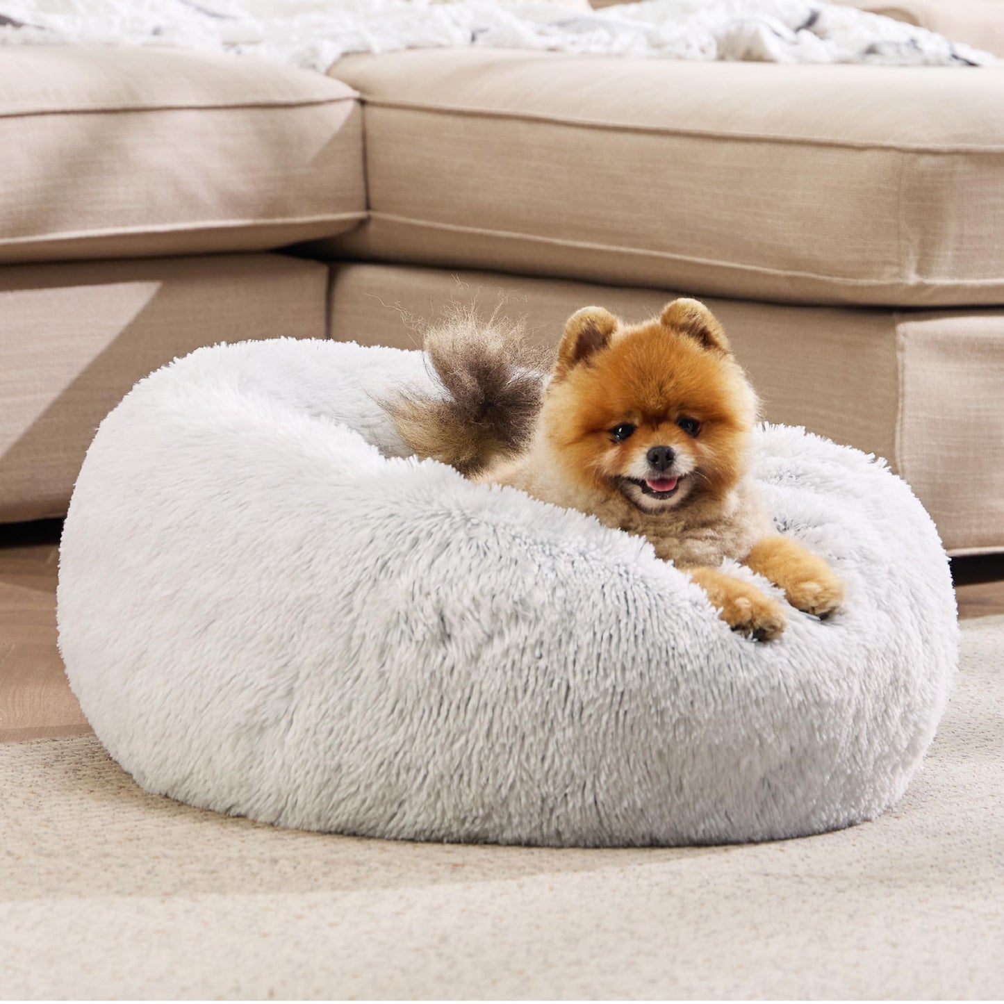 Cosy Round Plush Dog Beds for Small Dogs and Puppies