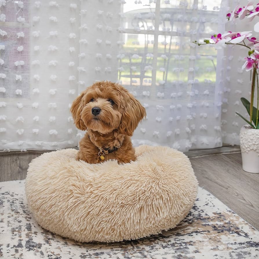 Cosy Round Plush Dog Beds for Small Dogs and Puppies