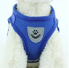 Fluorescent Harness for Small to Medium Dogs (Colour Variants)