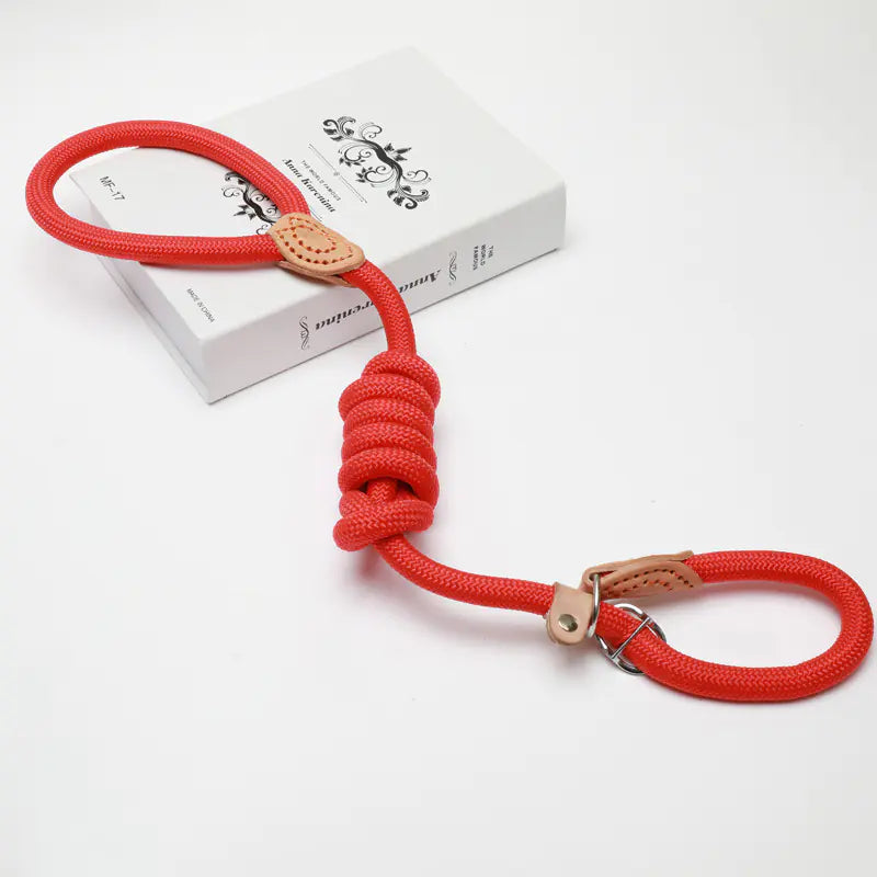 Slip Lead Dog Training Leash (Colour Variants)