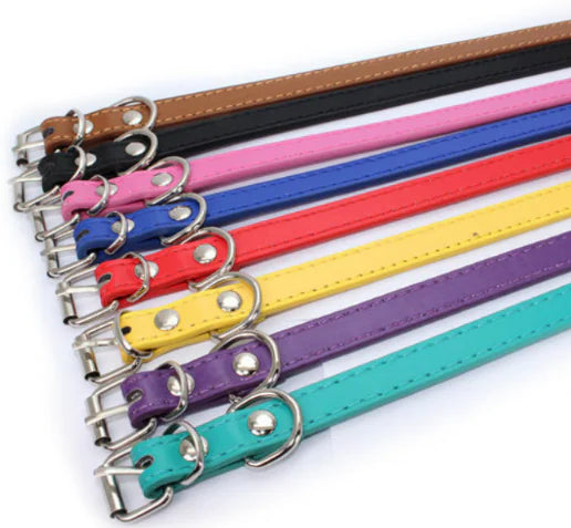 Cat and Dog Collar with Leash (PU Material)
