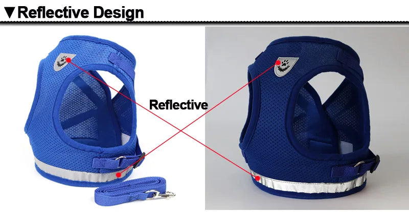 Fluorescent Harness for Small to Medium Dogs (Colour Variants)