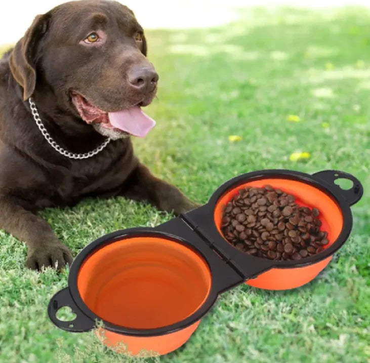Alimentador externo para animais de estimação