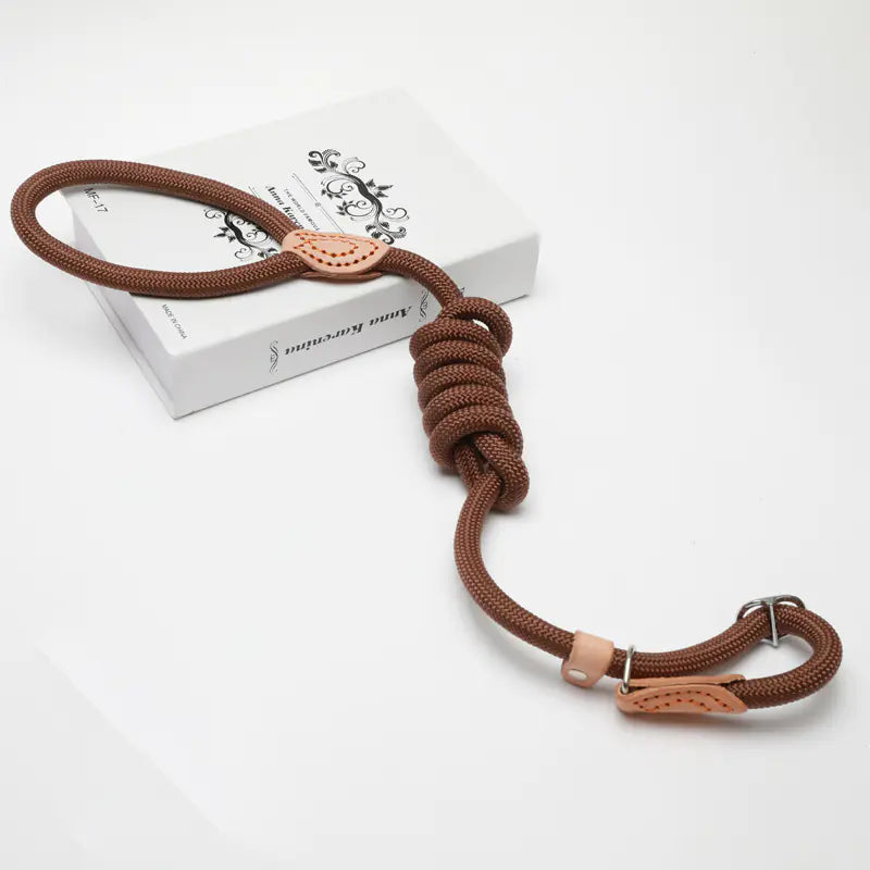 Slip Lead Dog Training Leash (Colour Variants)