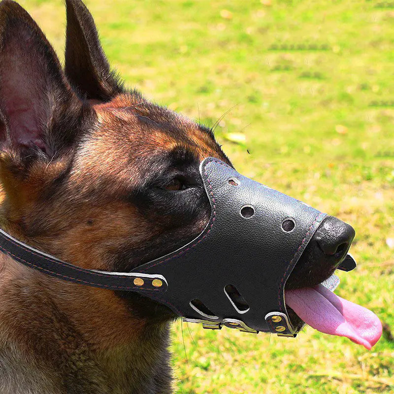 Anti-Bark and Anti-Eating Mask Muzzle for Medium to Large Dogs