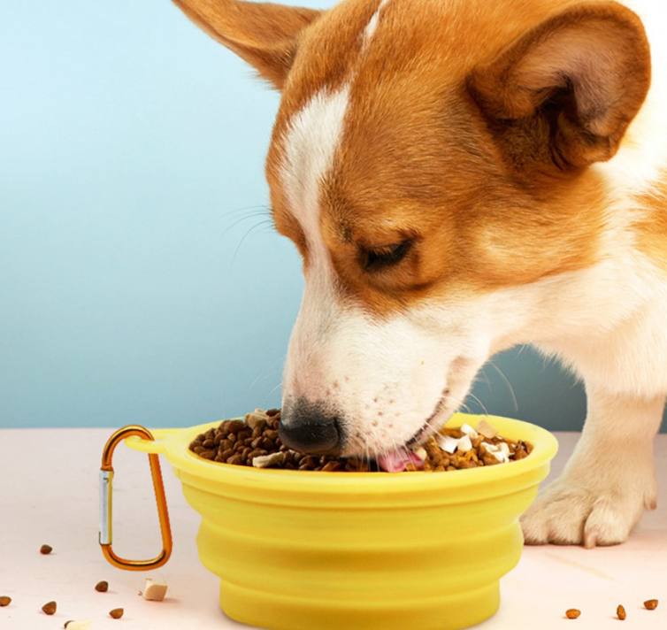 Portable Eco-Friendly Silicone Pet Bowl for Cats & Dogs