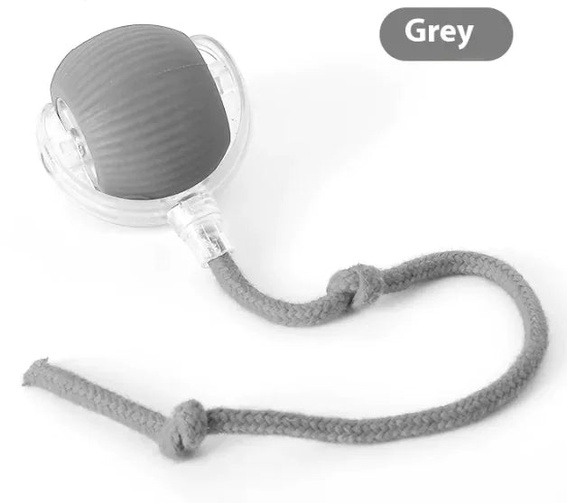 Interactive Toy Ball for Cats and Dogs (Colour Variants)