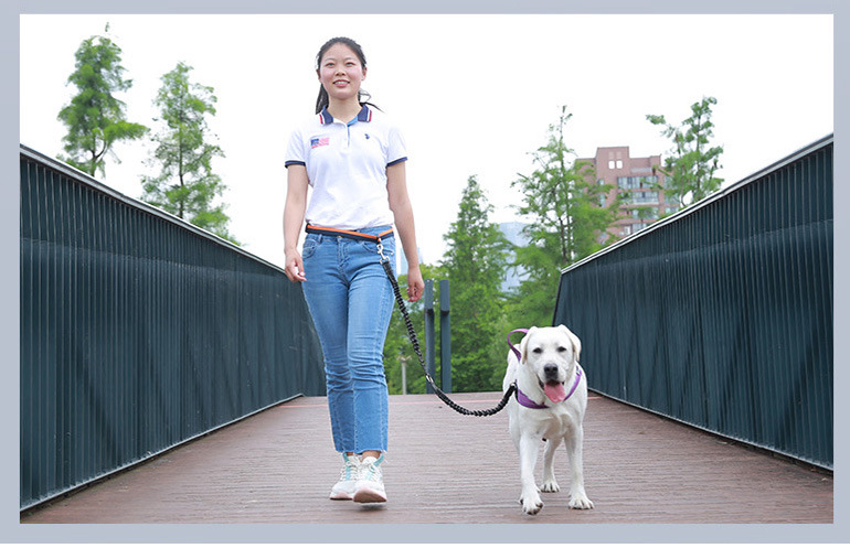 Pet Training Snack Bag Fanny Pack