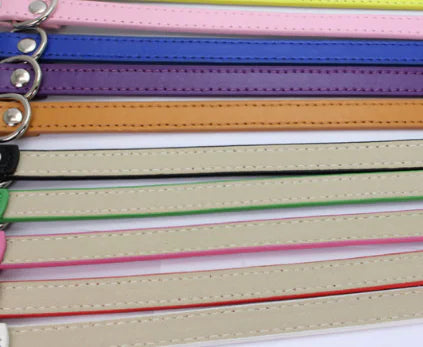 Cat and Dog Collar with Leash (PU Material)