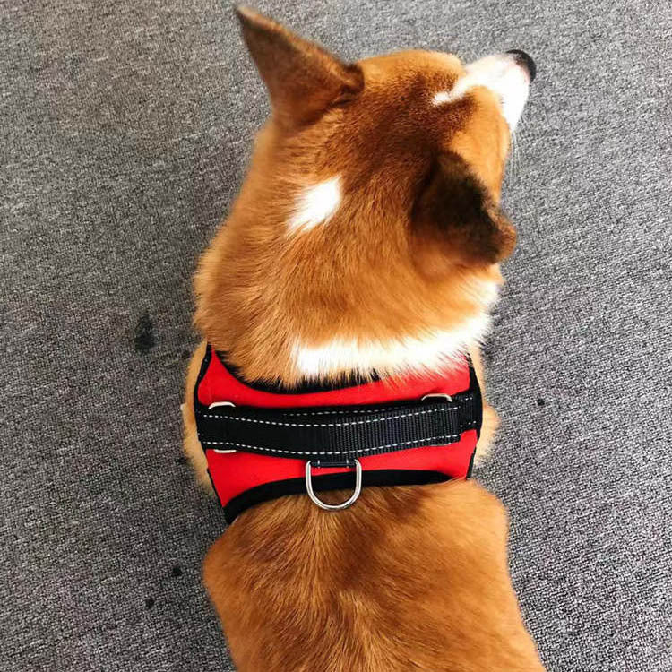 Small Dog Vest Harness with Rope Chest and Back Design (Colour Variant)