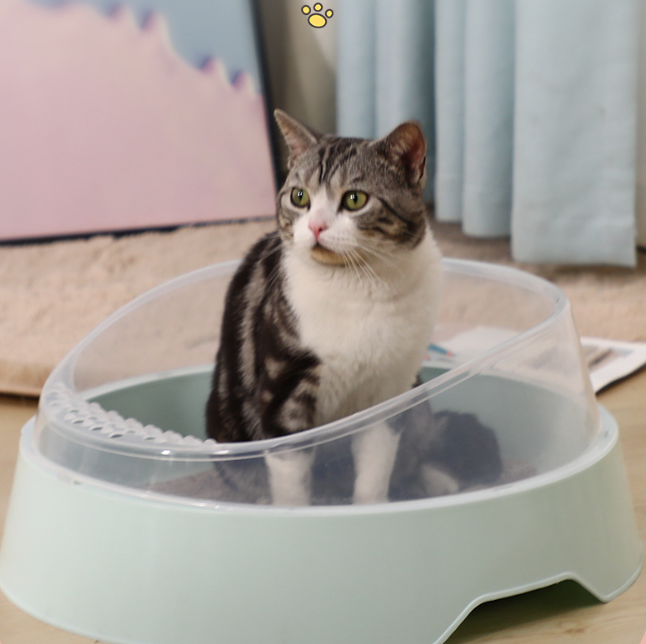 Large Semi-Enclosed Cat Litter Box with Shovel (Colour Variants)