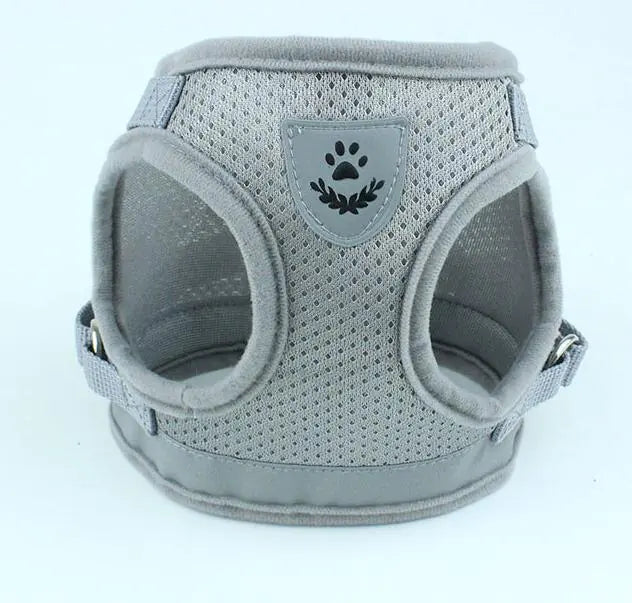 Fluorescent Harness for Small to Medium Dogs (Colour Variants)