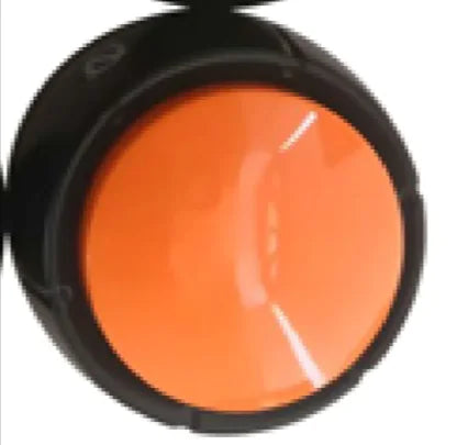 Pet Voice Training Button