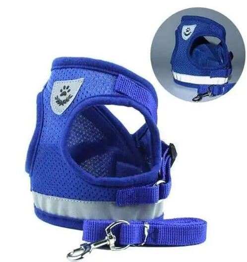 Fluorescent Harness for Small to Medium Dogs (Colour Variants)