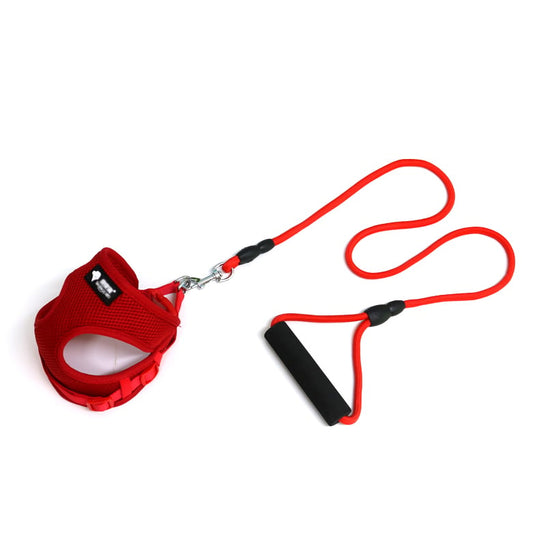 Dog Leash and Collar Set for Pets