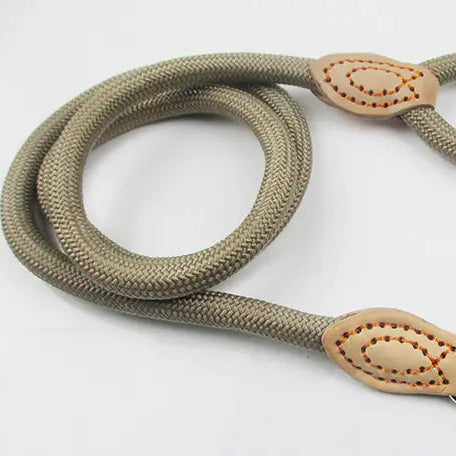 Nylon P-Leash for Dog Training with Reflective Feature