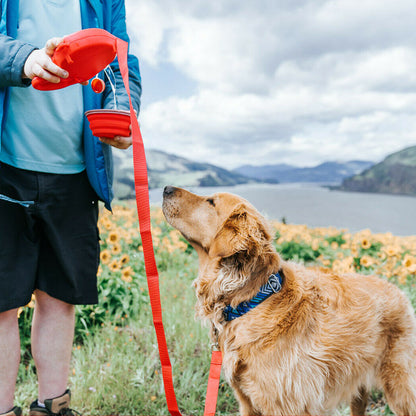Portable Traction Rope with Water Bottle for Outdoors (Colour Variants)