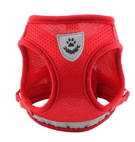 Fluorescent Harness for Small to Medium Dogs (Colour Variants)