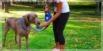 Coleira Essential com Garrafa de Água Integrada para Animais de Estimação