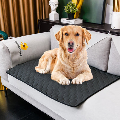 Washable Pet Dog Training Pad (Single Piece) Colour Variants