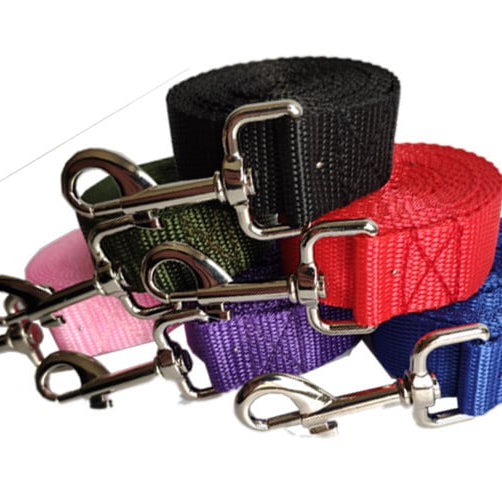 Set of colorful dog leashes with metal clasps on a white background