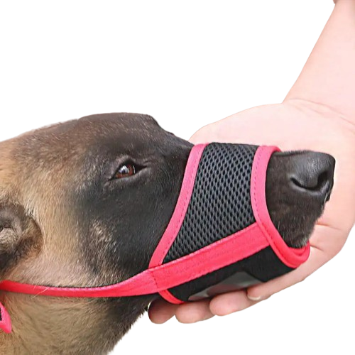 Mouth Cover for Large Dog to Prevent Unwanted Eating on Walks (Colour Variants)