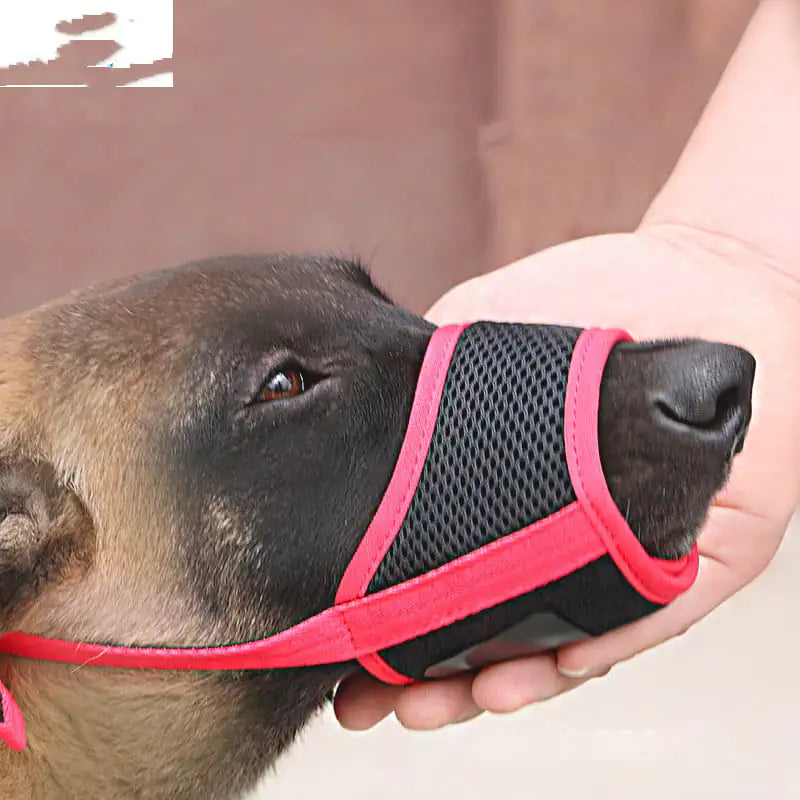 Dog wearing a pink and black muzzle held by a person against a neutral background