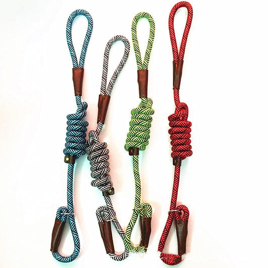 Medium Dog Training Leash for Pets (Colour Variants)