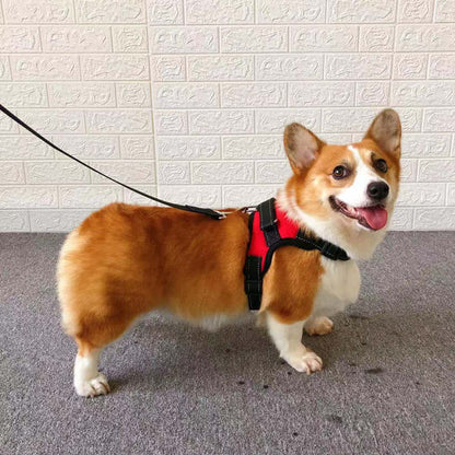 Small Dog Vest Harness with Rope Chest and Back Design (Colour Variant)