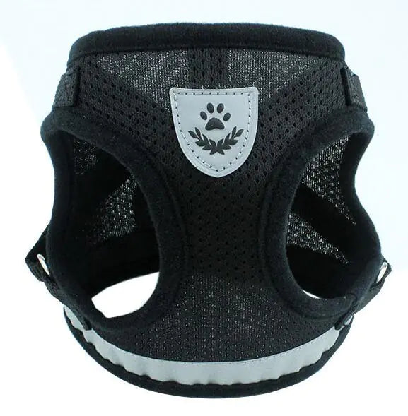 Fluorescent Harness for Small to Medium Dogs (Colour Variants)