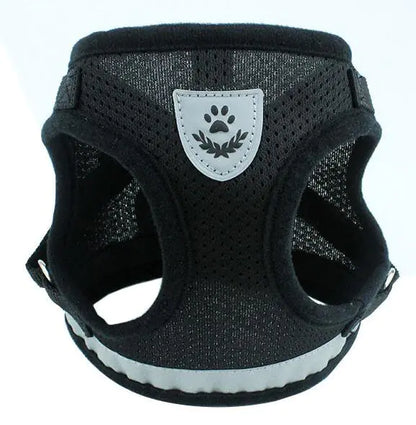 Fluorescent Harness for Small to Medium Dogs (Colour Variants)