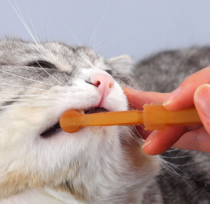 Conjunto de pasta de dente para animais de estimação com escova de silicone para cães e gatos
