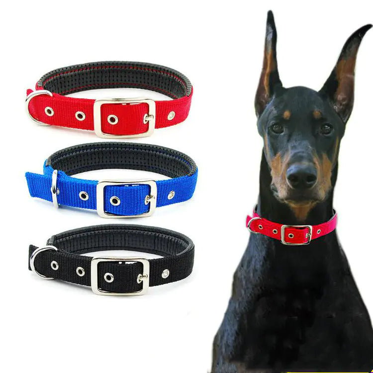 Coleiras para cães médios e grandes para todas as raças