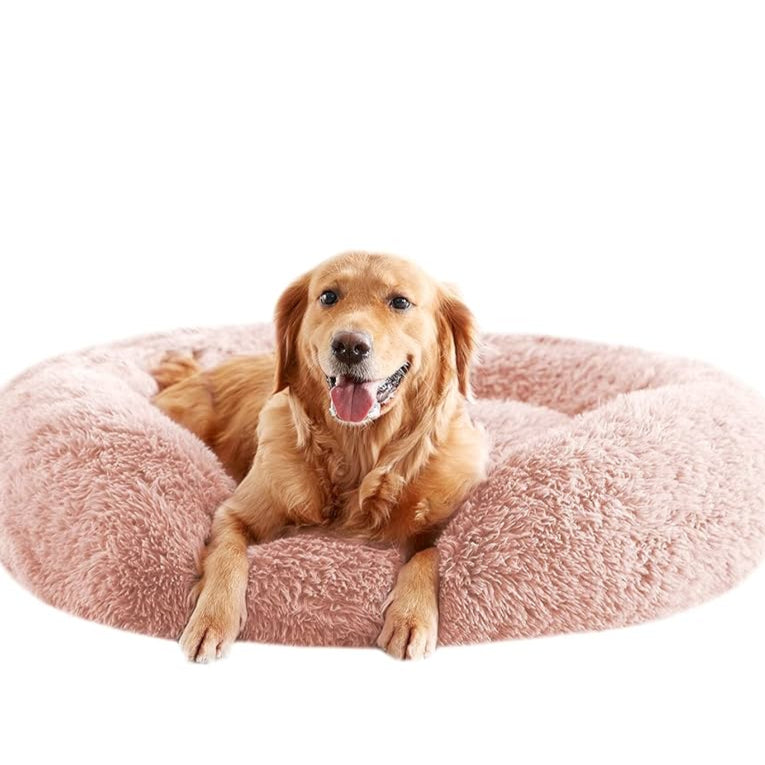 Dog lying on a pink donut-shaped pet bed against a white background