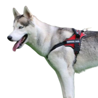 Medium and Large Service Dog Harness with Chest Strap Vest