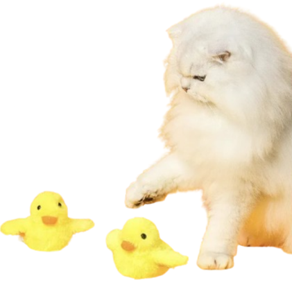 White fluffy animal next to two yellow rubber ducks on a white background