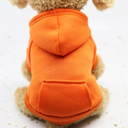 Winter Sweatshirt for Small Dogs - Cup Dog Apparel (Variants Available)