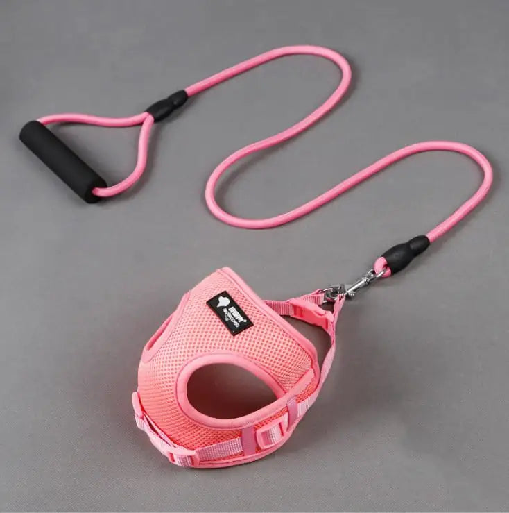 Dog Leash and Collar Set for Pets