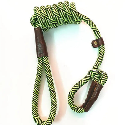 Coleira de treino para cães de porte médio (variações de cor)