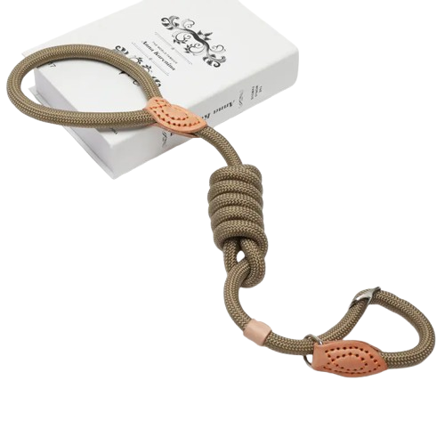 Slip Lead Dog Training Leash (Colour Variants)