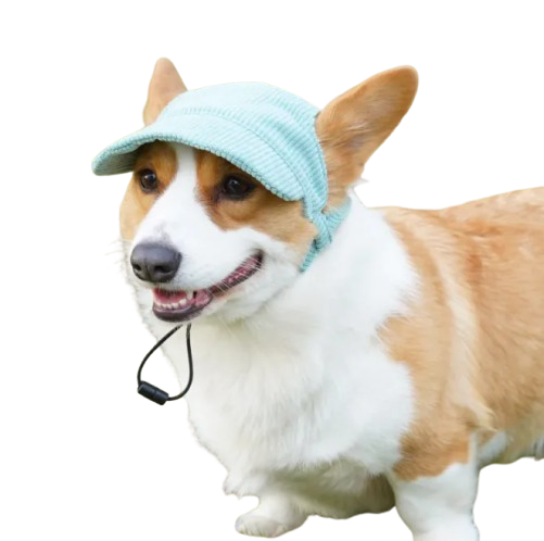 Pet Casual Hat (Colour Variants)